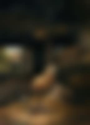Stallidylle mit Schafer, Kaninchen, Tauben und Enten (preview)
