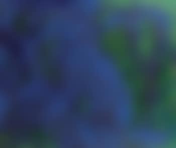 Blauweltwegfeld (preview)
