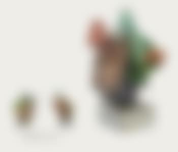 Untitled (preview)