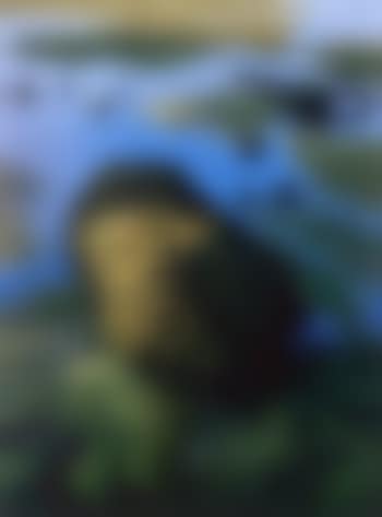 Rocks (preview)
