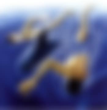 Dolphin and lovers (preview)