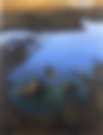 Rock pools (preview)