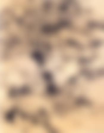 Rock study (preview)