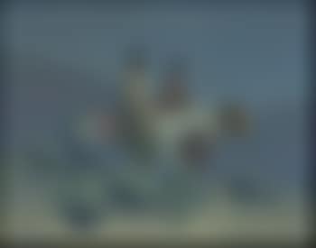 Navajo night (preview)