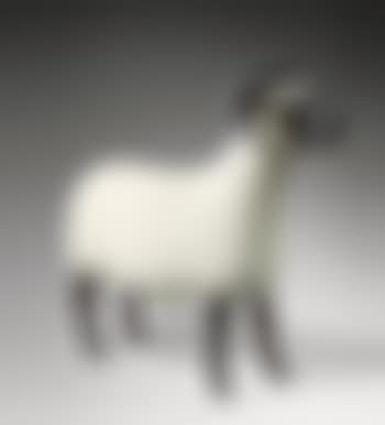 Belier (preview)