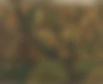 Canterbury landscape (preview)