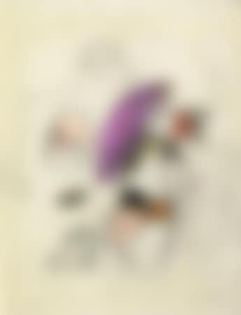 Sans titre (preview)
