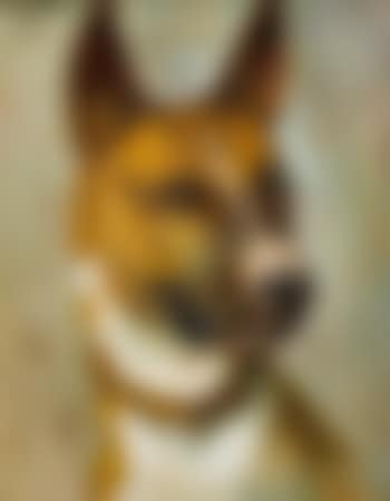 Major (preview)