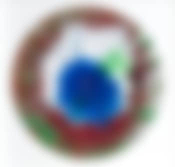 Spin picture (preview)