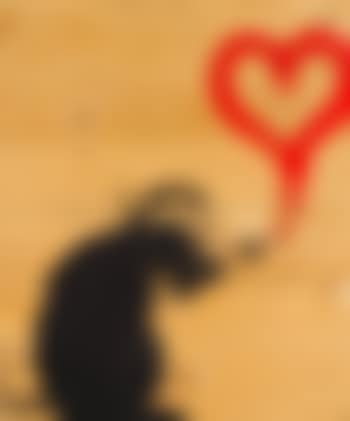 Love rat (preview)