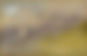 Gebirgslandschaft (preview)