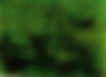 Ohne Titel (preview)