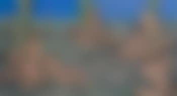 Nude figures in a glade (preview)