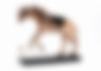 Horse saddled with time (preview)