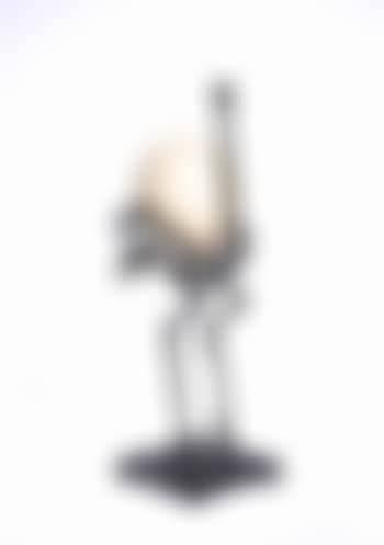 Ostrich (preview)