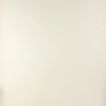 Grille-collor blanc II (preview)