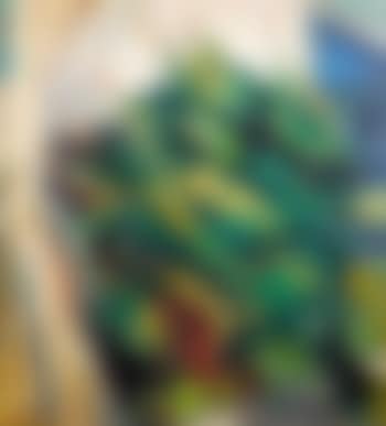 The Palm (preview)