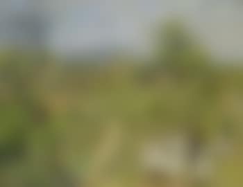Pfälzer Landschaft mit Spaziergängern (preview)