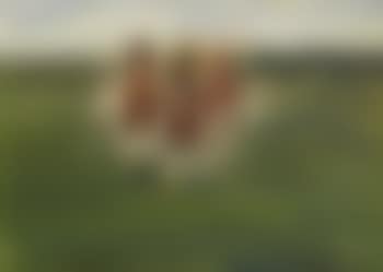 Galopprennen (preview)