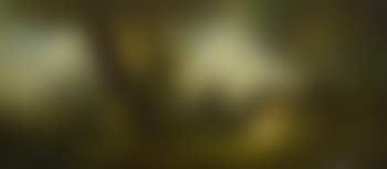 Rastende Wanderer auf einer Waldlichtung (preview)