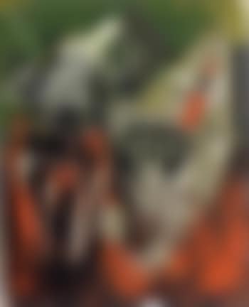 Mago con chango (preview)
