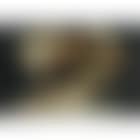 The Lamentation (preview)
