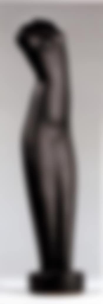 Torso (preview)
