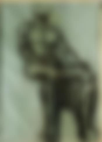 Hombre de fuego (preview)
