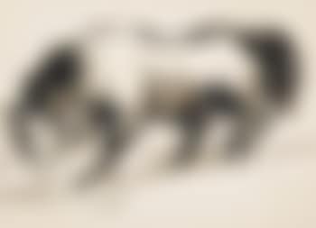 Welsh pit pony (preview)