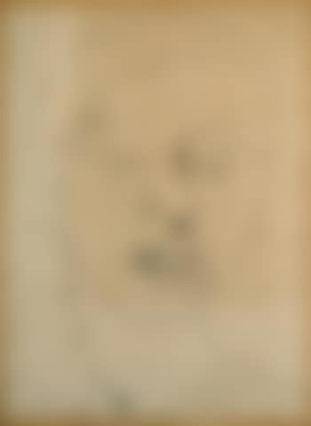 Rostro (mujer) (preview)