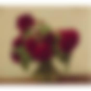 Roses Foncées (preview)