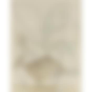 Hibou attaquant un chat (preview)