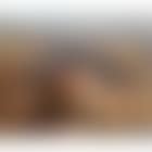 Marakesh (preview)
