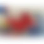 Dolphin (preview)