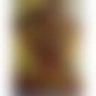 Pictures of color - After Van Gogh (preview)