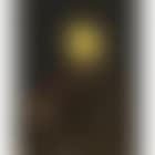 La paleta de Rembrandt (Rembrandt's palette) (preview)
