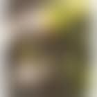Yellow flame (preview)
