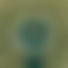 Cara verde (preview)