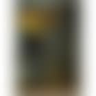 Portrait of Arturo Lopez-Willshaw (preview)
