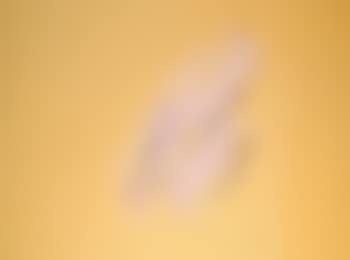 Griffure (preview)