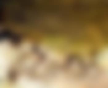 30.7.84 (preview)