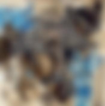 Sonder les profondeurs (preview)