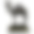A dromedary (preview)