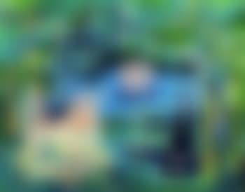 Le dejeuner sur l'herbe (preview)