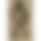 Zittende Visser (preview)