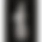 Torso (preview)