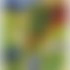 Laponie (preview)