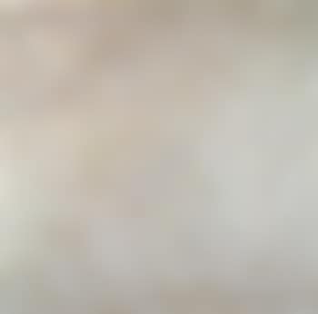 No White O. X. (preview)