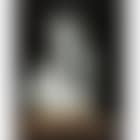 Femme nue de dos (preview)