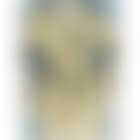 Yellow Robe (D'Oench & Feinberg 64) (preview)